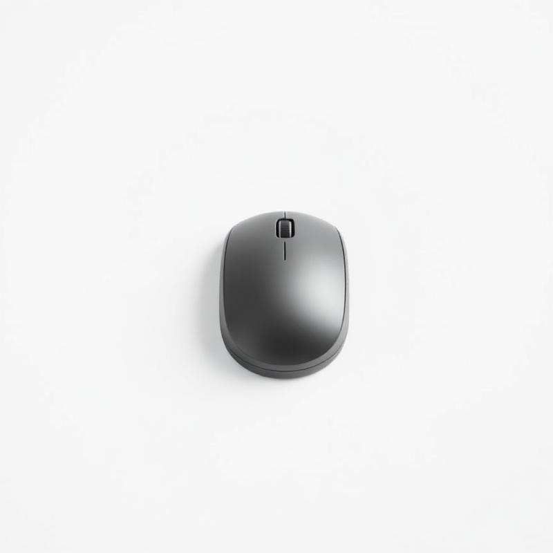 Wireless Computer Mouse